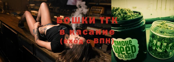 индика Ельня