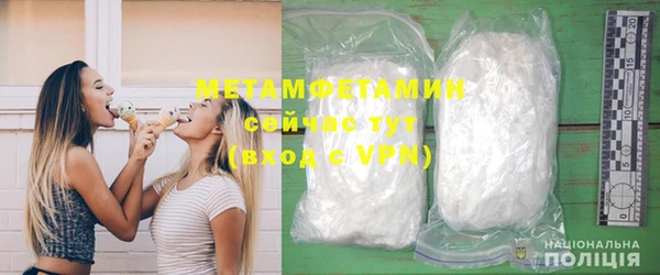 индика Ельня