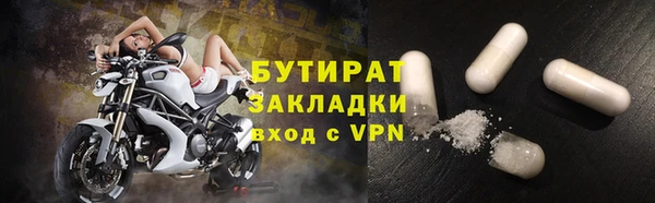 индика Ельня