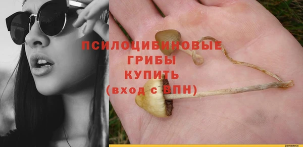 дурь Елизово