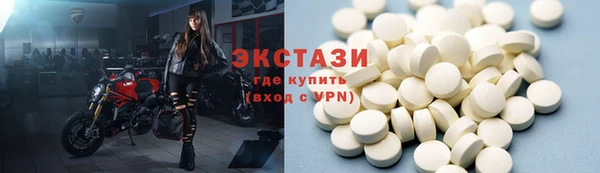 индика Ельня