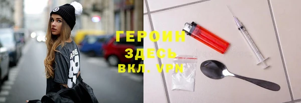 индика Ельня