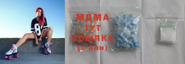 индика Ельня