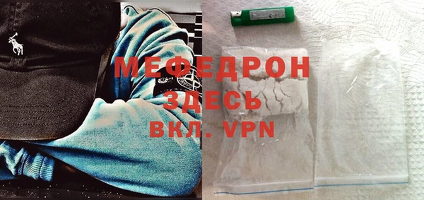 индика Ельня