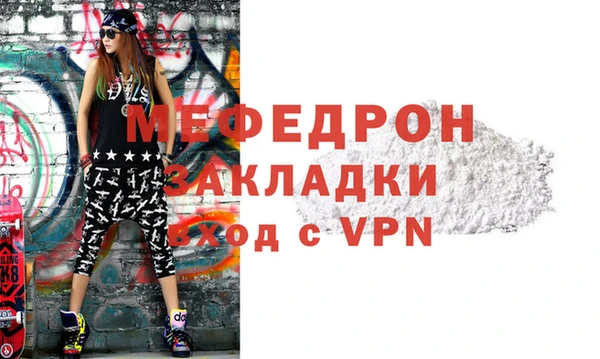 индика Ельня