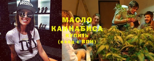 индика Ельня