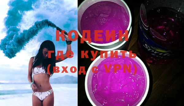 индика Ельня