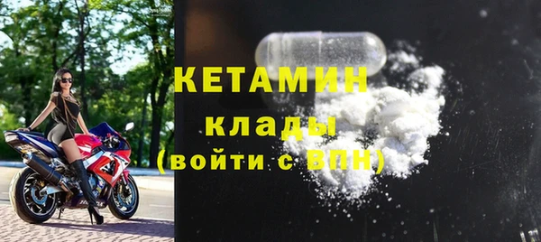 индика Ельня