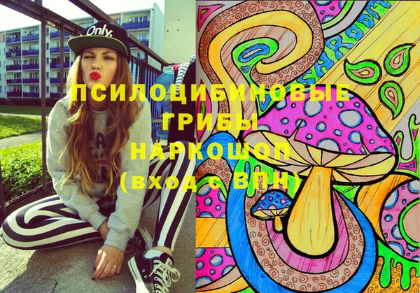 дурь Елизово