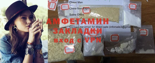 индика Ельня