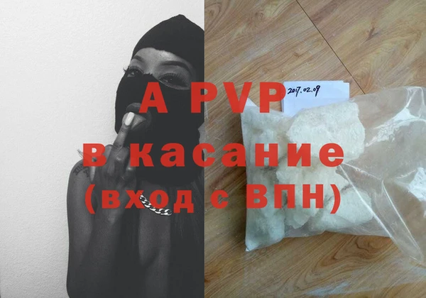 индика Ельня
