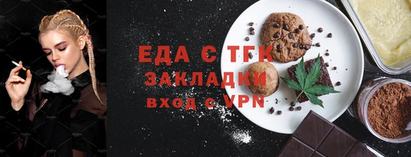 индика Ельня