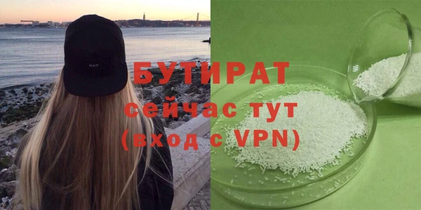 индика Ельня