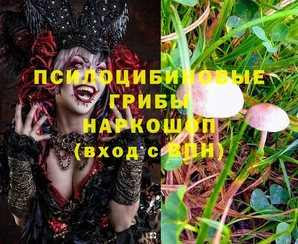 дурь Елизово