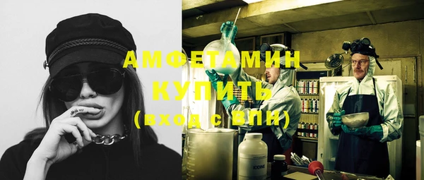 индика Ельня